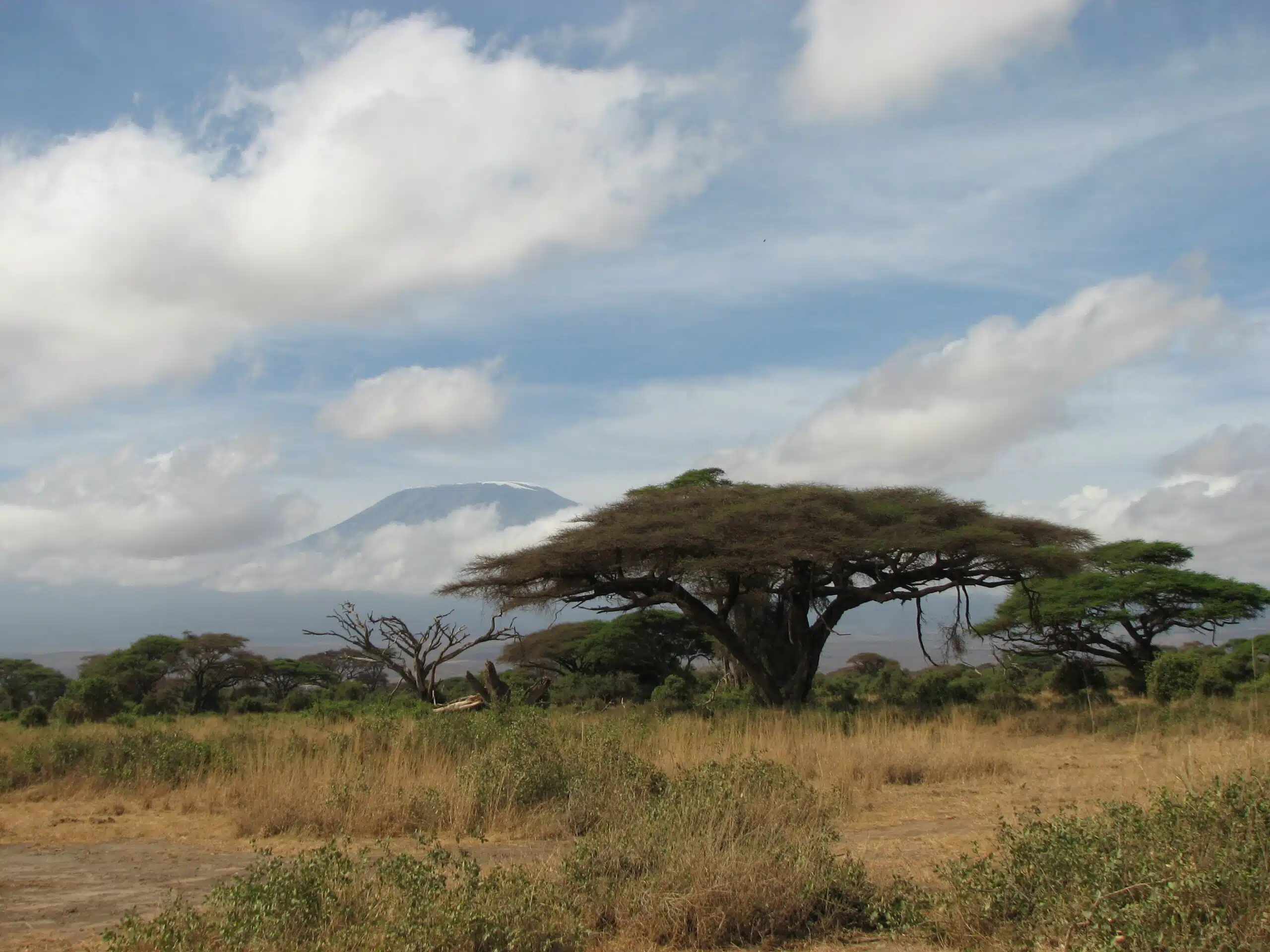 Kenia Safari Amboseli Nationalpark Fusspirsch mit Massai Kilimanjaro