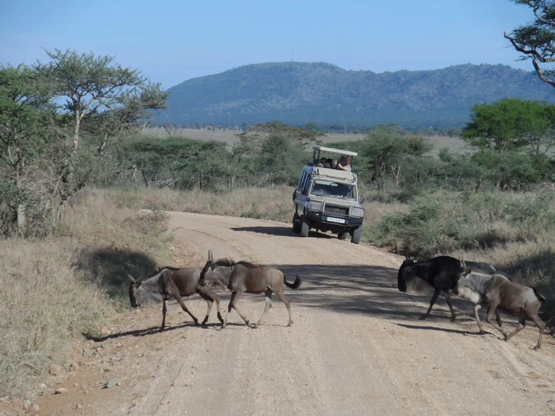 Tansania Safari Fahrzeuge