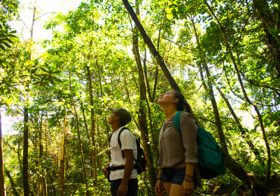 Ecuador Reise Amazonas Regenwald Dschungelwanderung