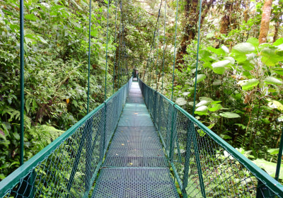 Costa Rica Rundreise Hängebrücken