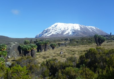 Wanderung auf den Kilimandscharo Marangu Route Aussicht auf Kibo