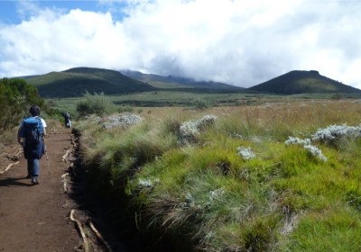Wanderung auf den Kilimandscharo Marangu Route Wanderer im Heideland