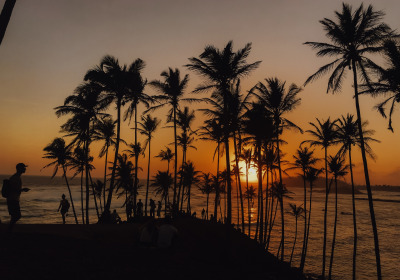 Hochzeitsreise Sri Lanka Mirissa Sonnenuntergang am Sandstrand mit Palmen 