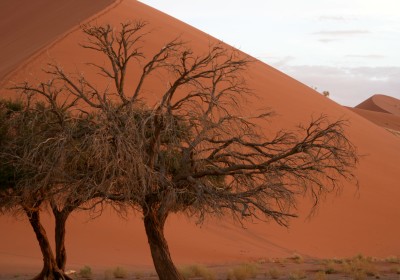 Namibia Safari Sesriem Sossusvlei Dune