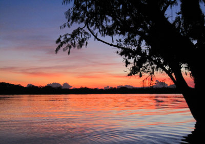 Ecuador Reise Sundowner Amazonas Regenwald