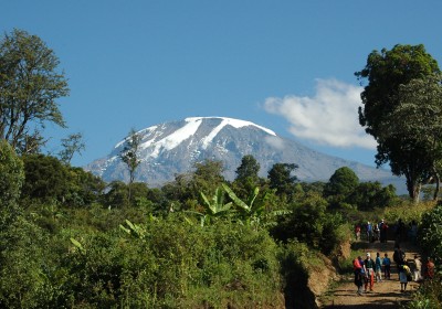 Tansania Safari Kilimanjaro Trekking Aufstieg