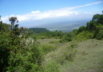 Tansania Safari Arusha Nationalpark Aussicht in Ebene