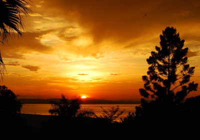 Uganda Reise Entebbe Sonnenuntergang Victoriasee