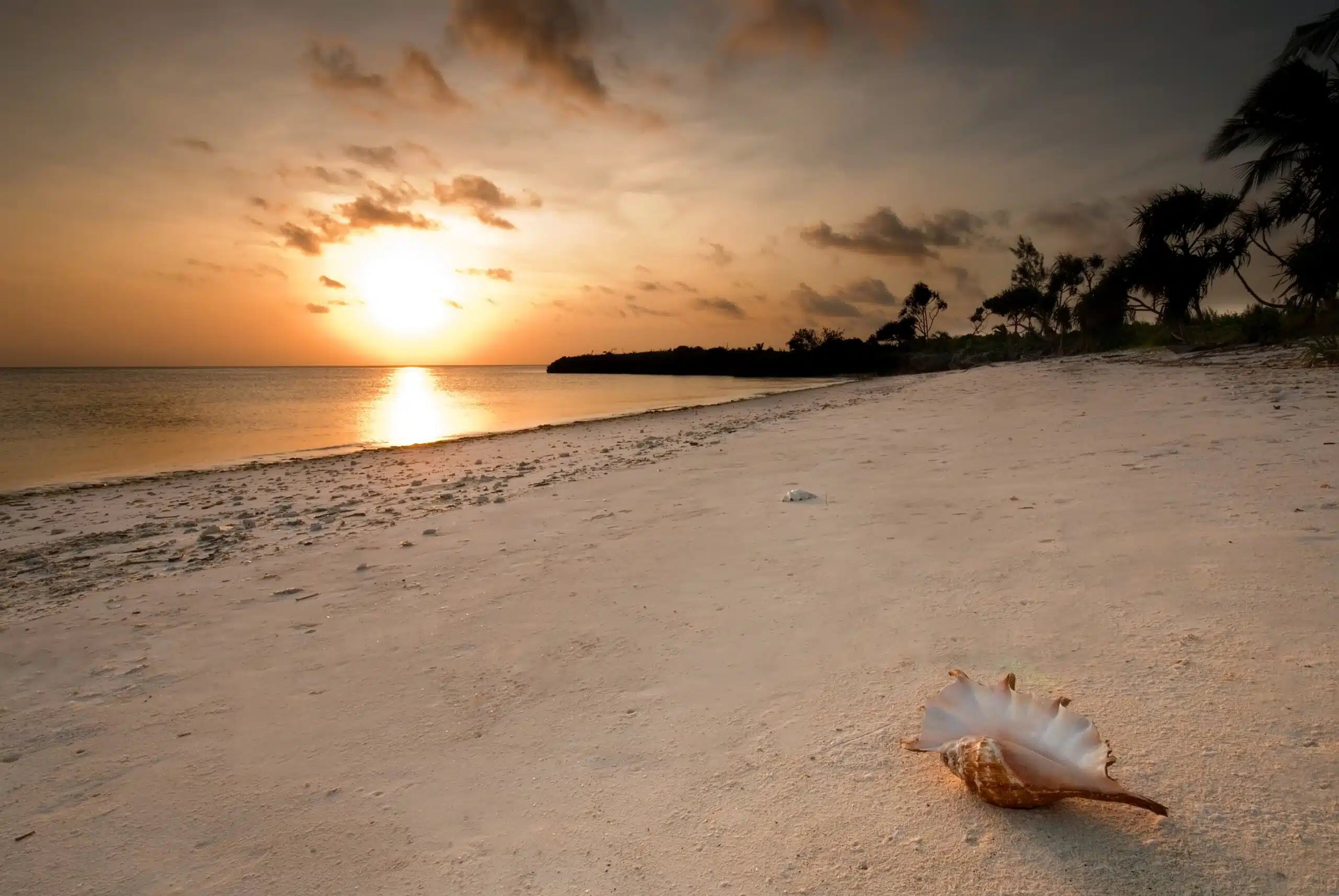 Sansibar Urlaub und Safari Strand Sonnenuntergang