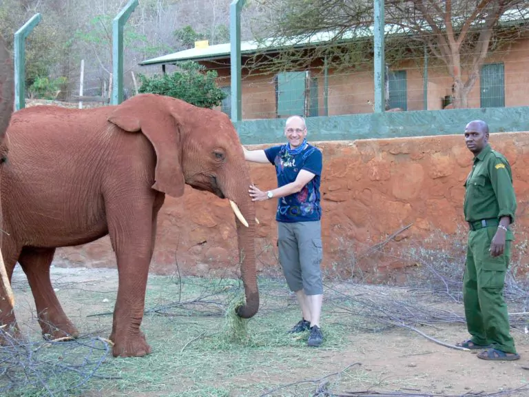 Kenia Safari Besuch der Elefantenauswilderung des David Sheldrick Wildlife Trust