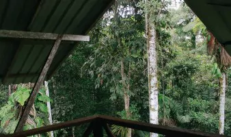 Ecuador Reisen Cuyabeno Tapir Lodge Ausblick Balkon