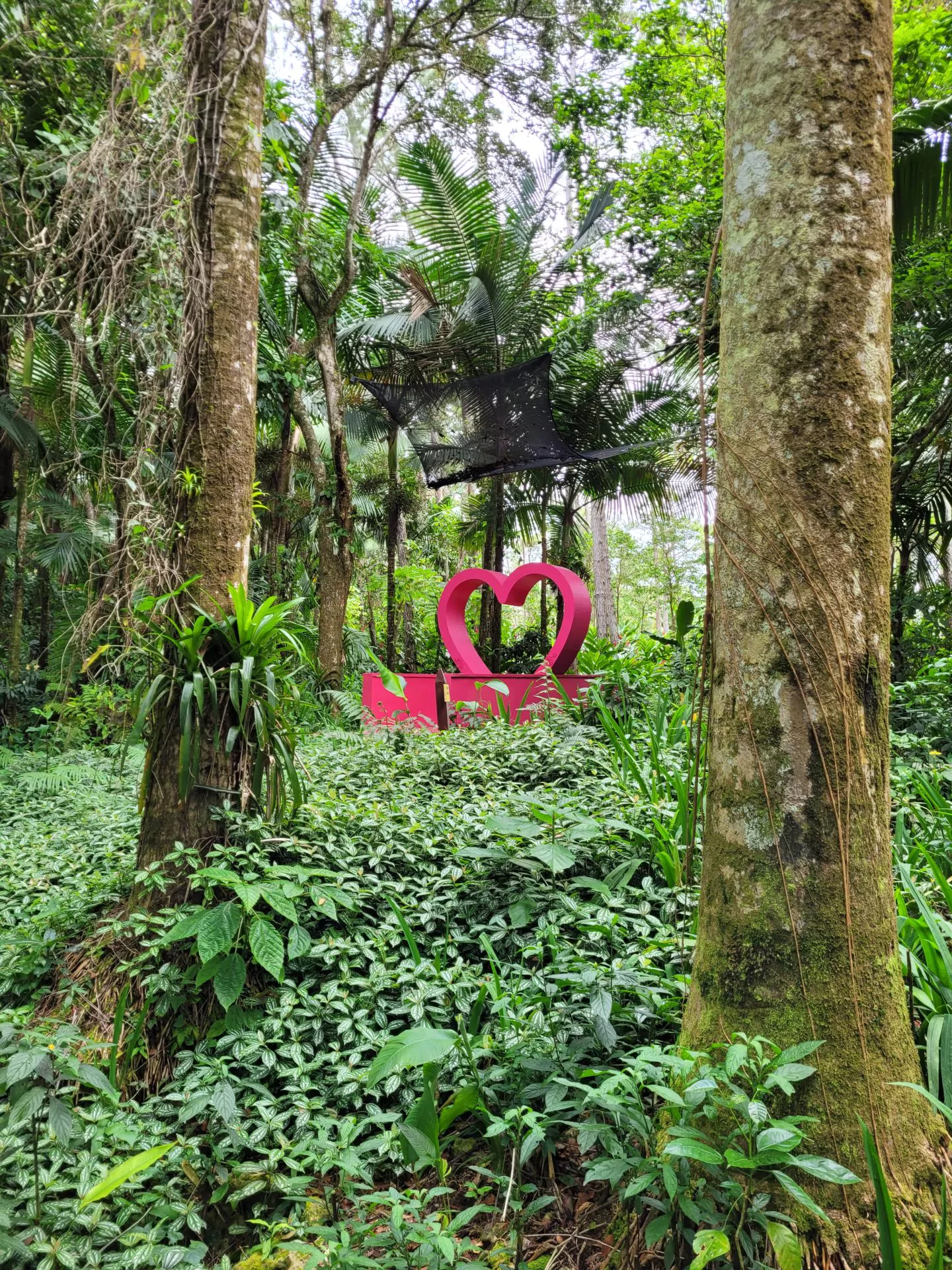 dominikanische republik reisebericht herz im regenwald