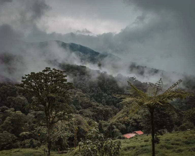 costa rica rundreisen regenwald dampfend