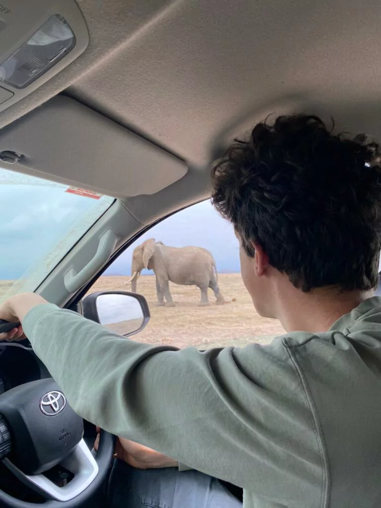 Kenia_Safari_Selbstfahrer_Elefant_aus_dem_Fahrzeug