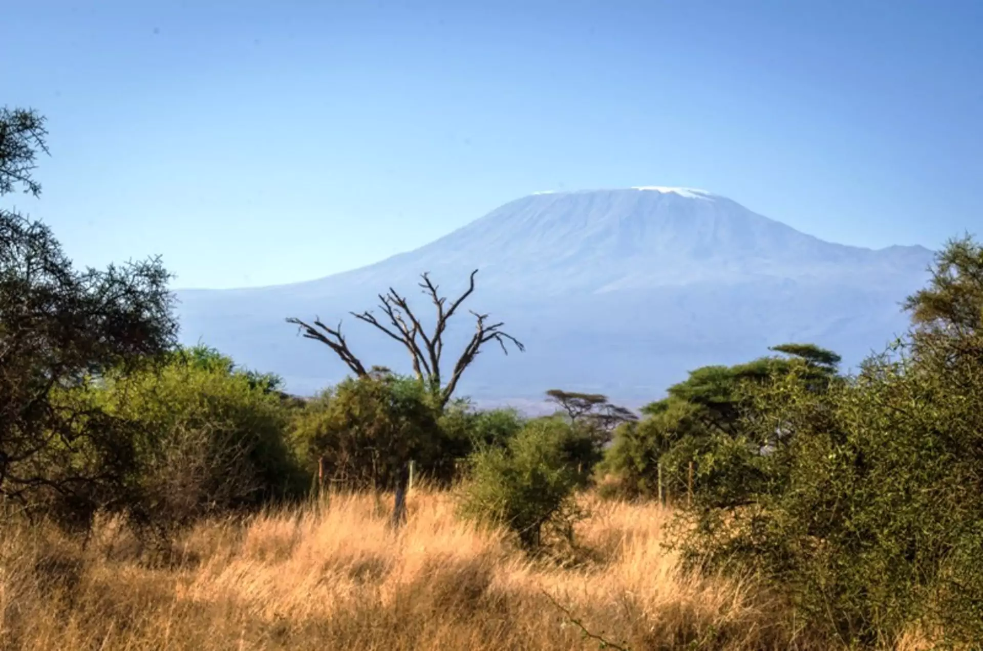 Kenia Safari Amboseli Nationalpark Panorama des Kilimanjaro