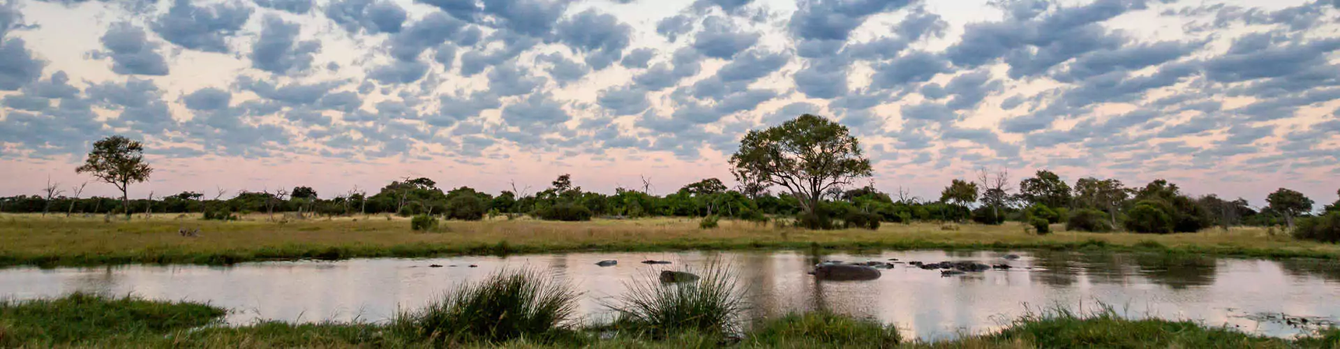 Botswana Safari Okavango Delta
