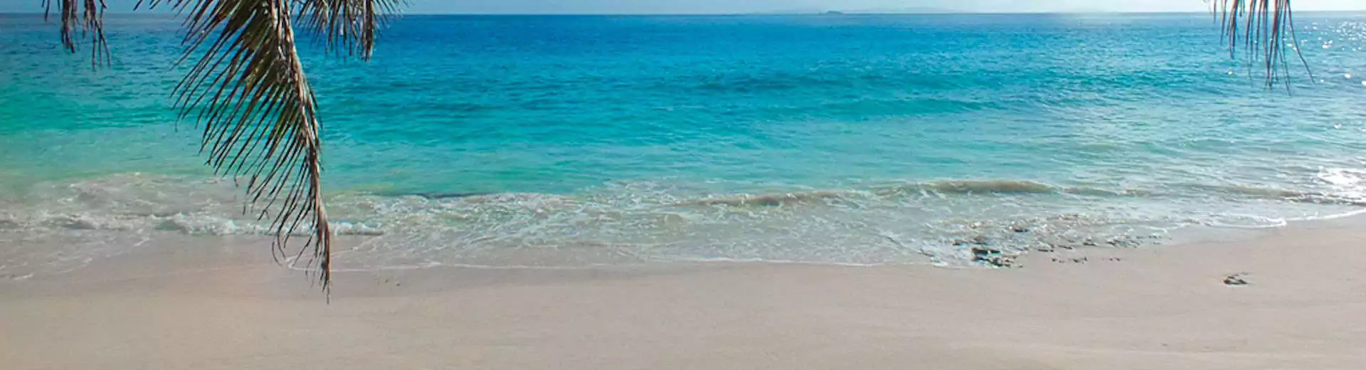 Rundreisen und Baden Seychellen Reise Beach Palme