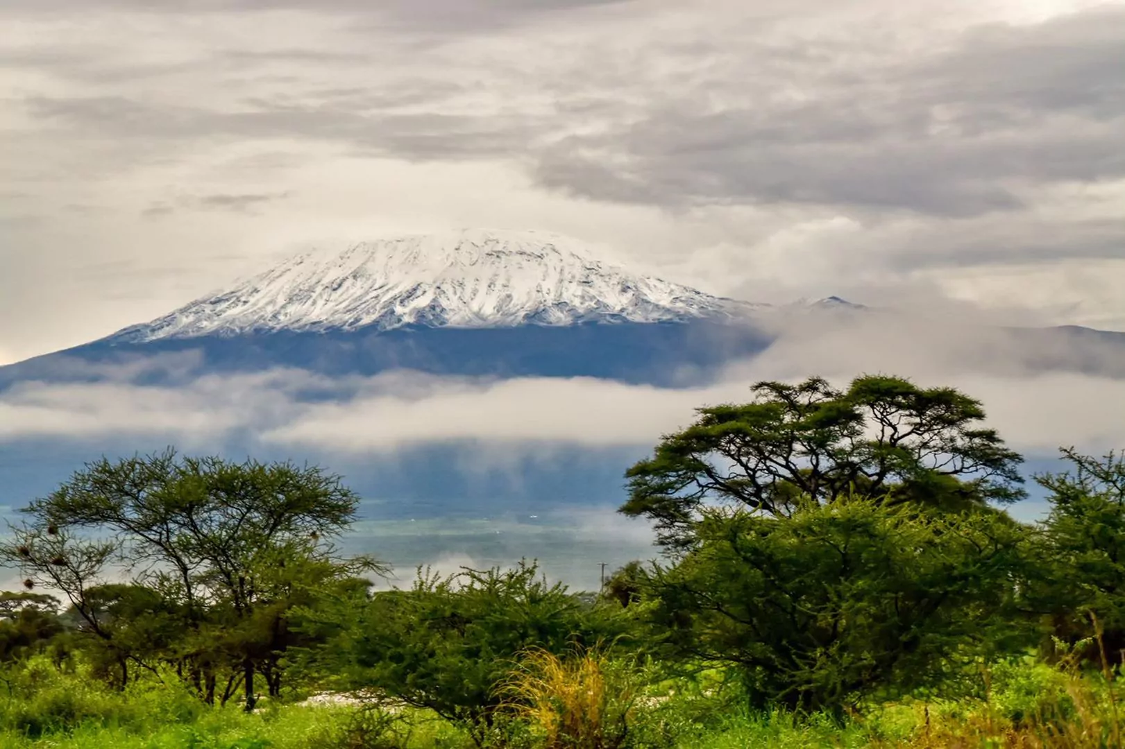 Tansania Kilimanjaro Trekking Blick auf den Berg