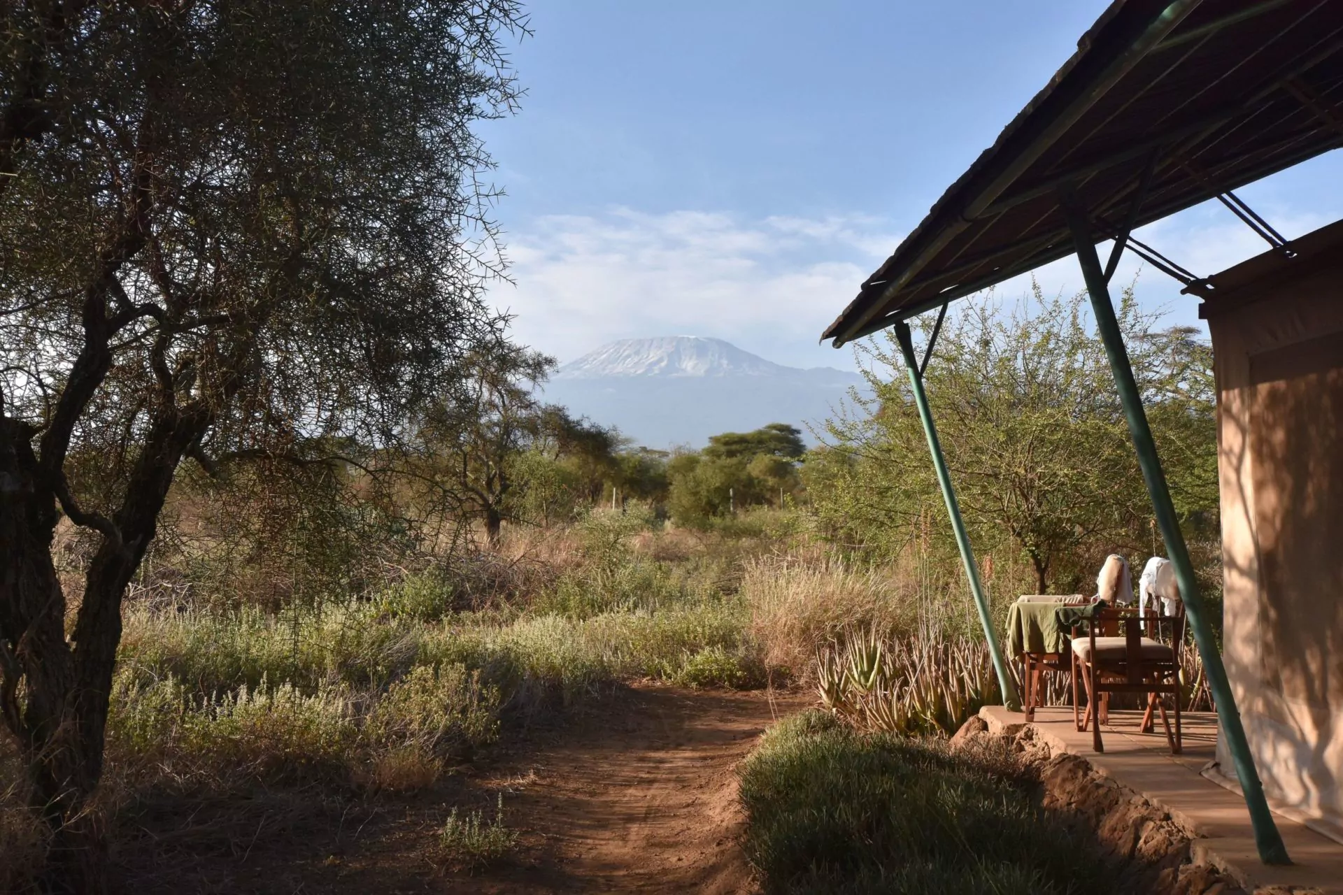 Kenia Safari Aussicht-vom-Zelt-im-Amboseli