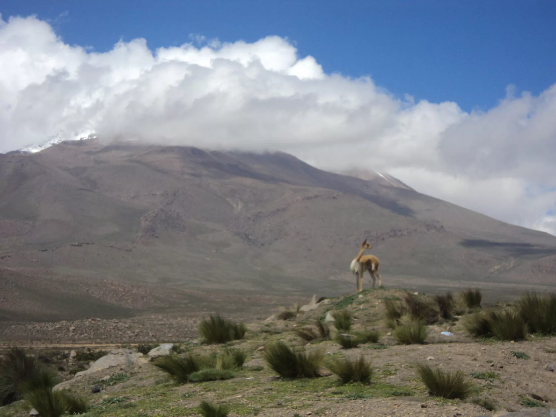 Peru Reise Blanca Nationalpark