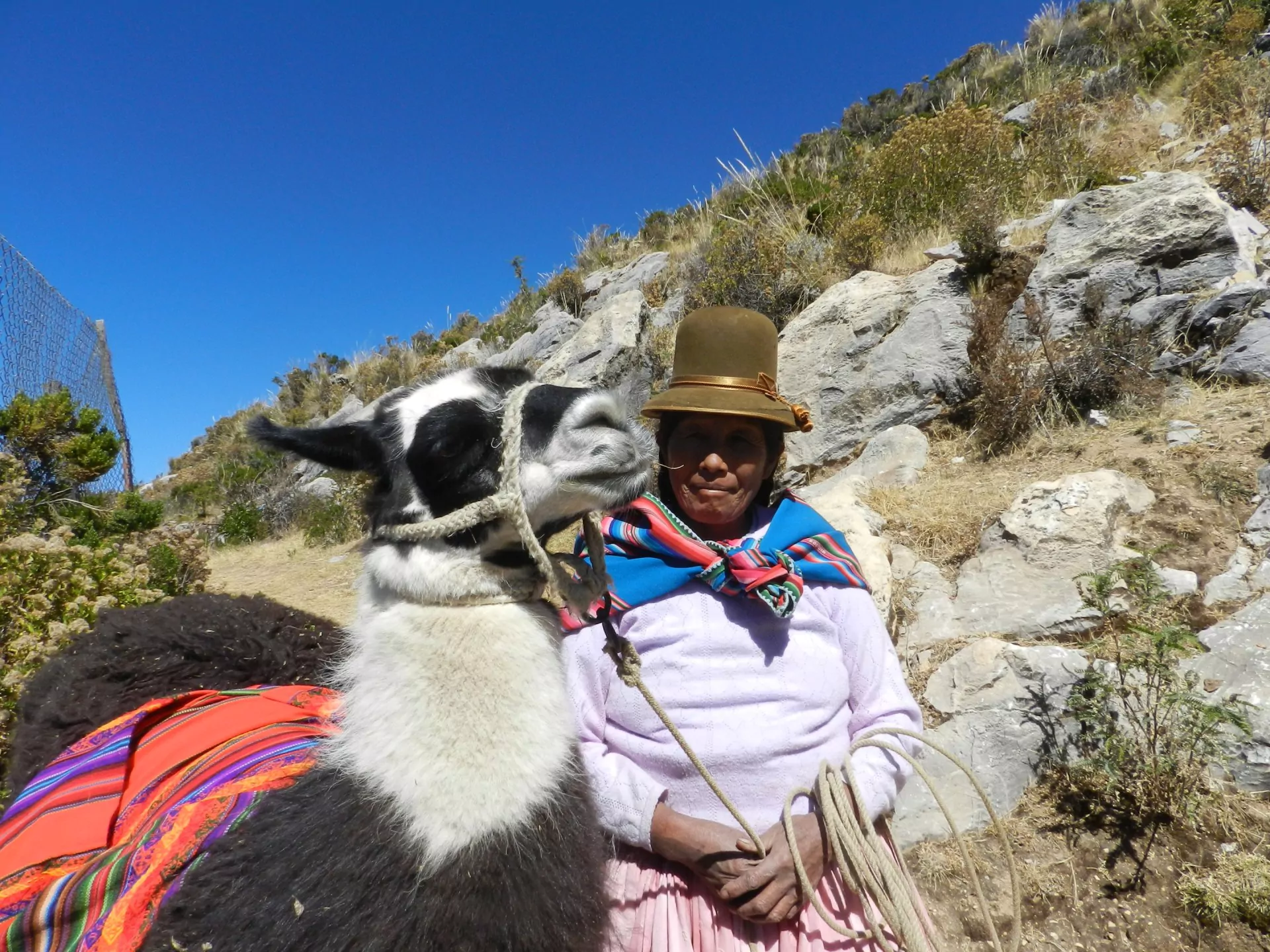 Bolivien Reisen Titicacasee Sonneninsel wanderung mit lama