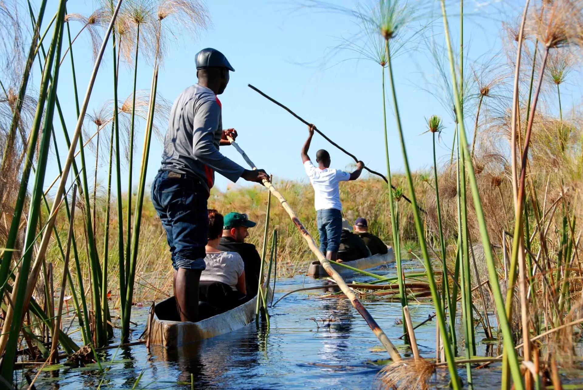Botswana_Safari_Okavango_Delta_O_Bona_Moremi_Mokoro
