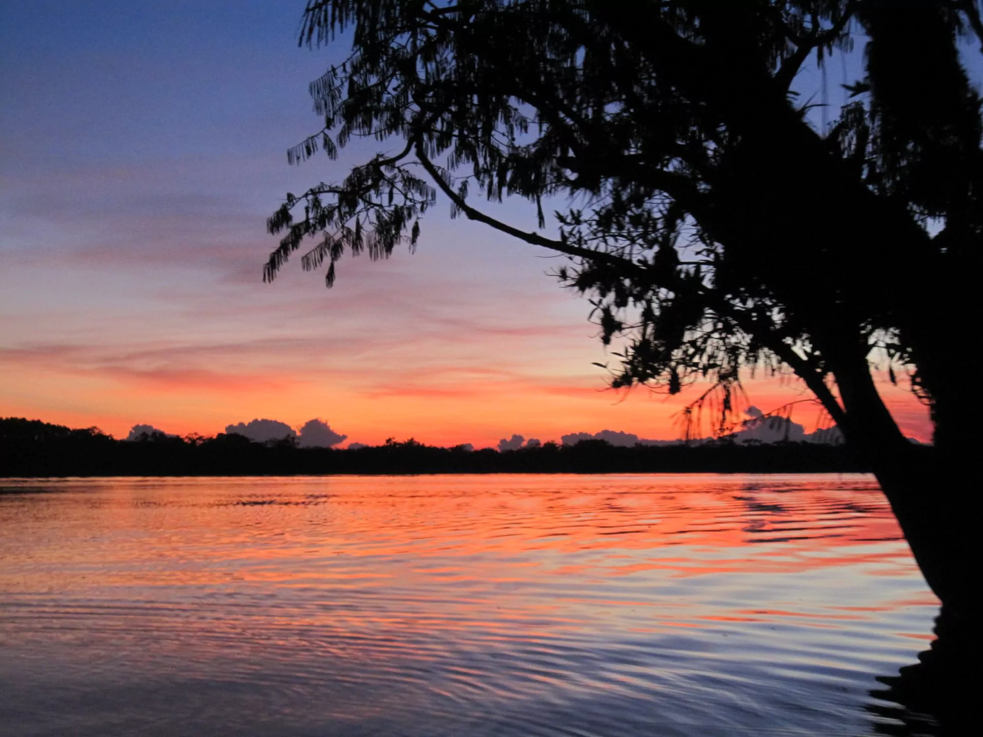 Ecuador Reisen Amazonas sonnenuntergang