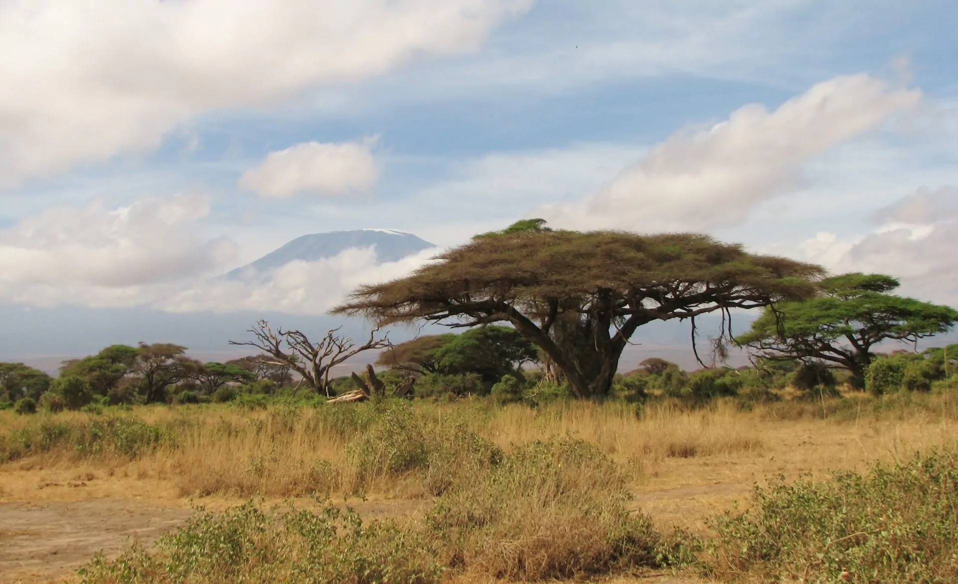 Kenia Safari Amboseli Fusspirsch mit Massai Kilimanjaro