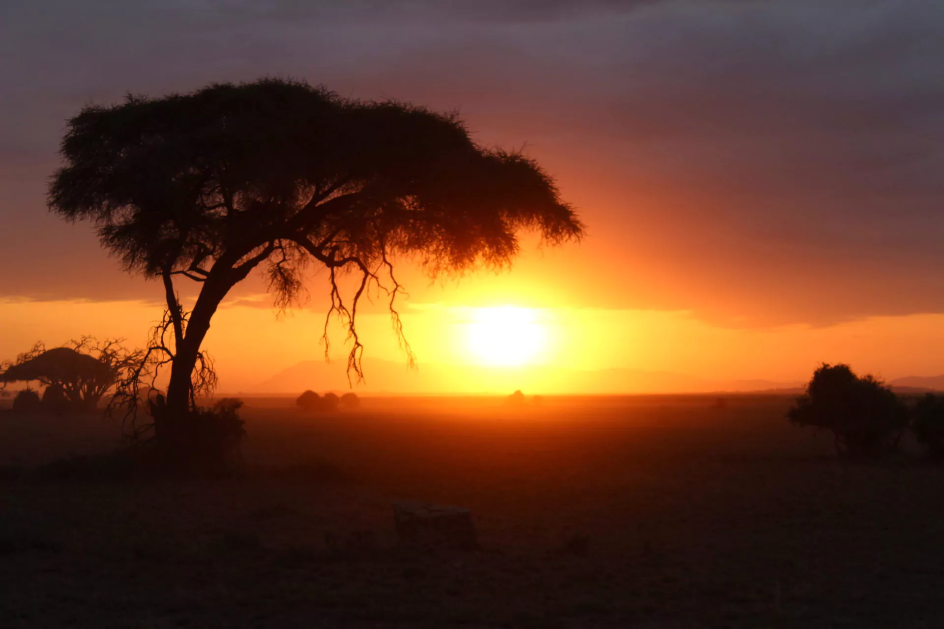 Kenia Safari Amboseli Nationalpark Sonnenuntergang