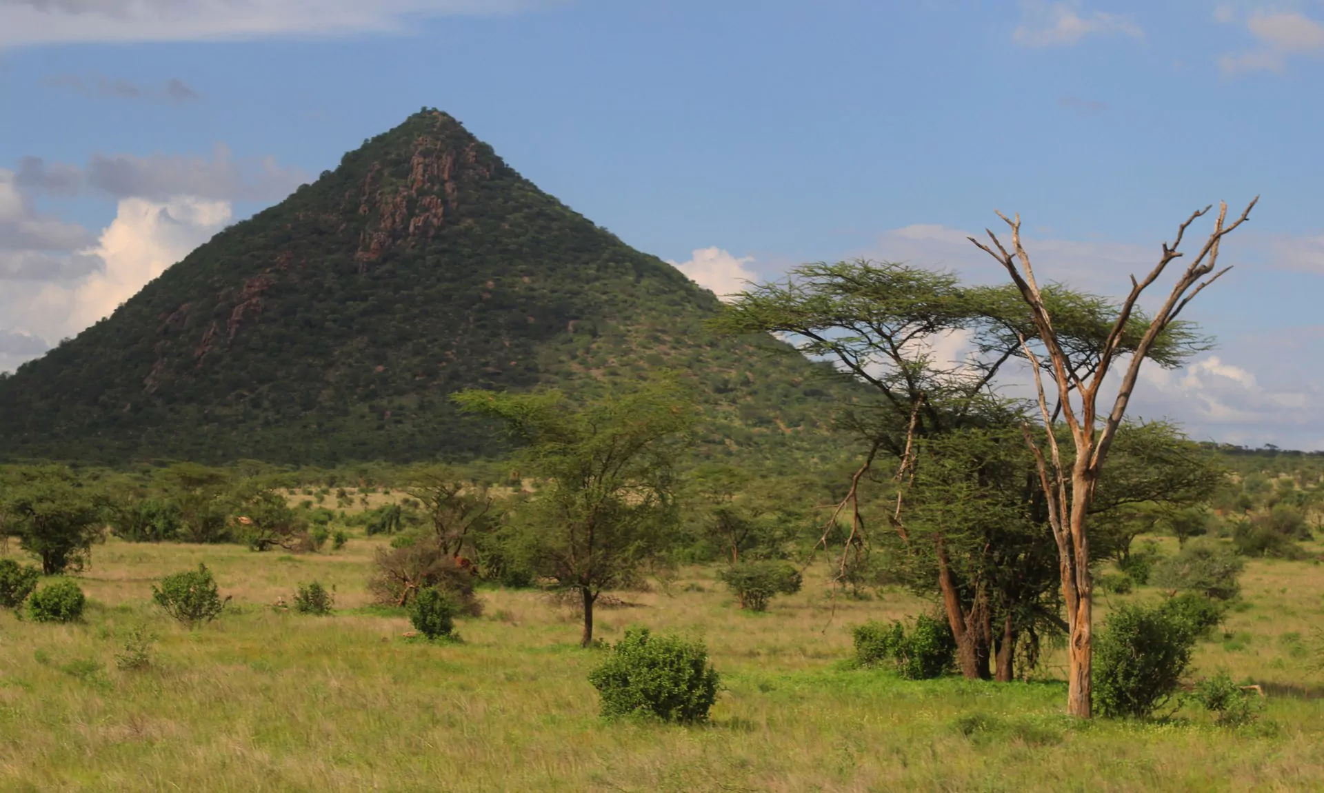 Kenia_Safari_Samburu_Nationalreservat_Landschaft