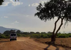 Kenia_Urlaub_Tsavo_Ost_Nationalpark_Minibus