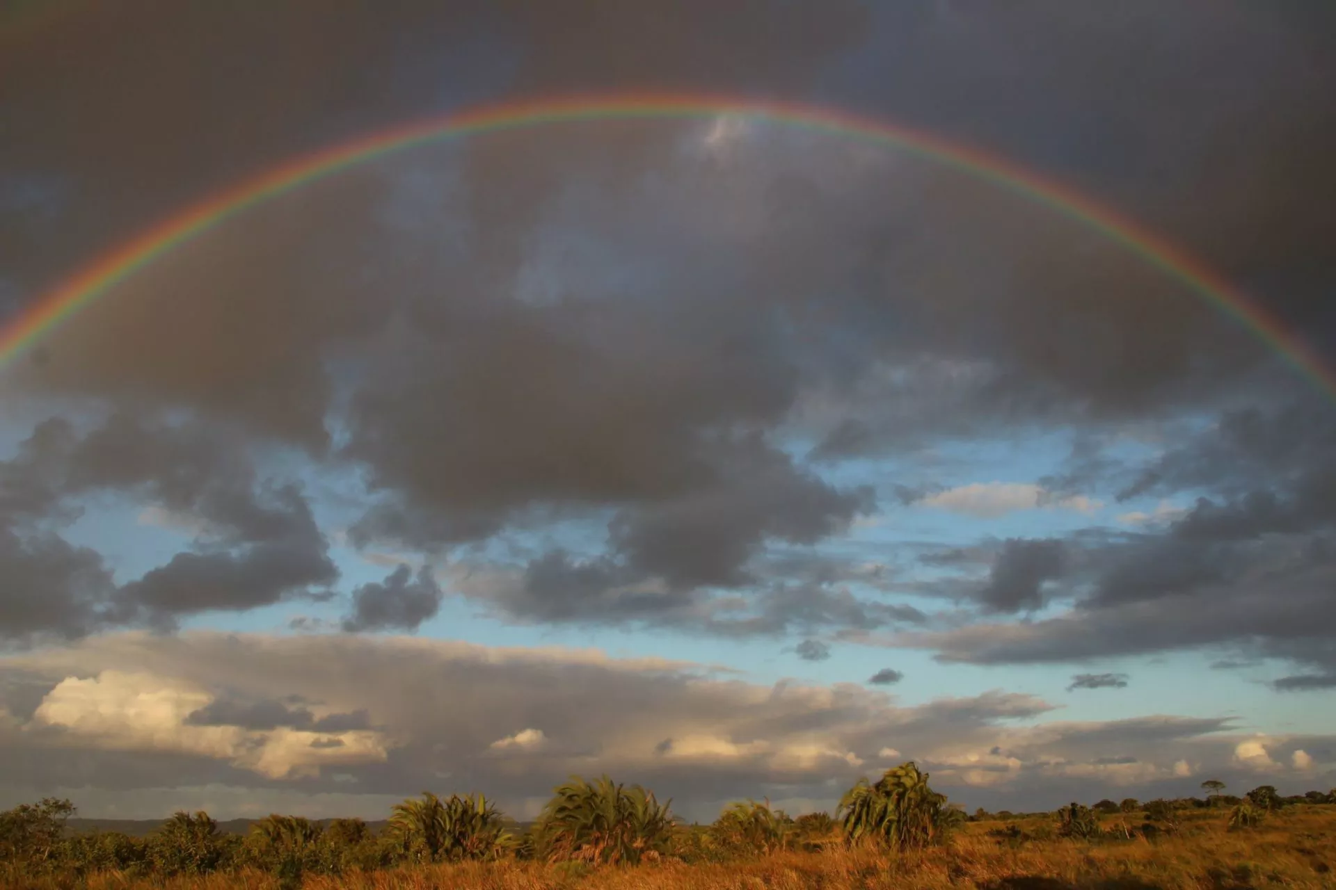 Südafrika Safari Malerischer Regenbogen