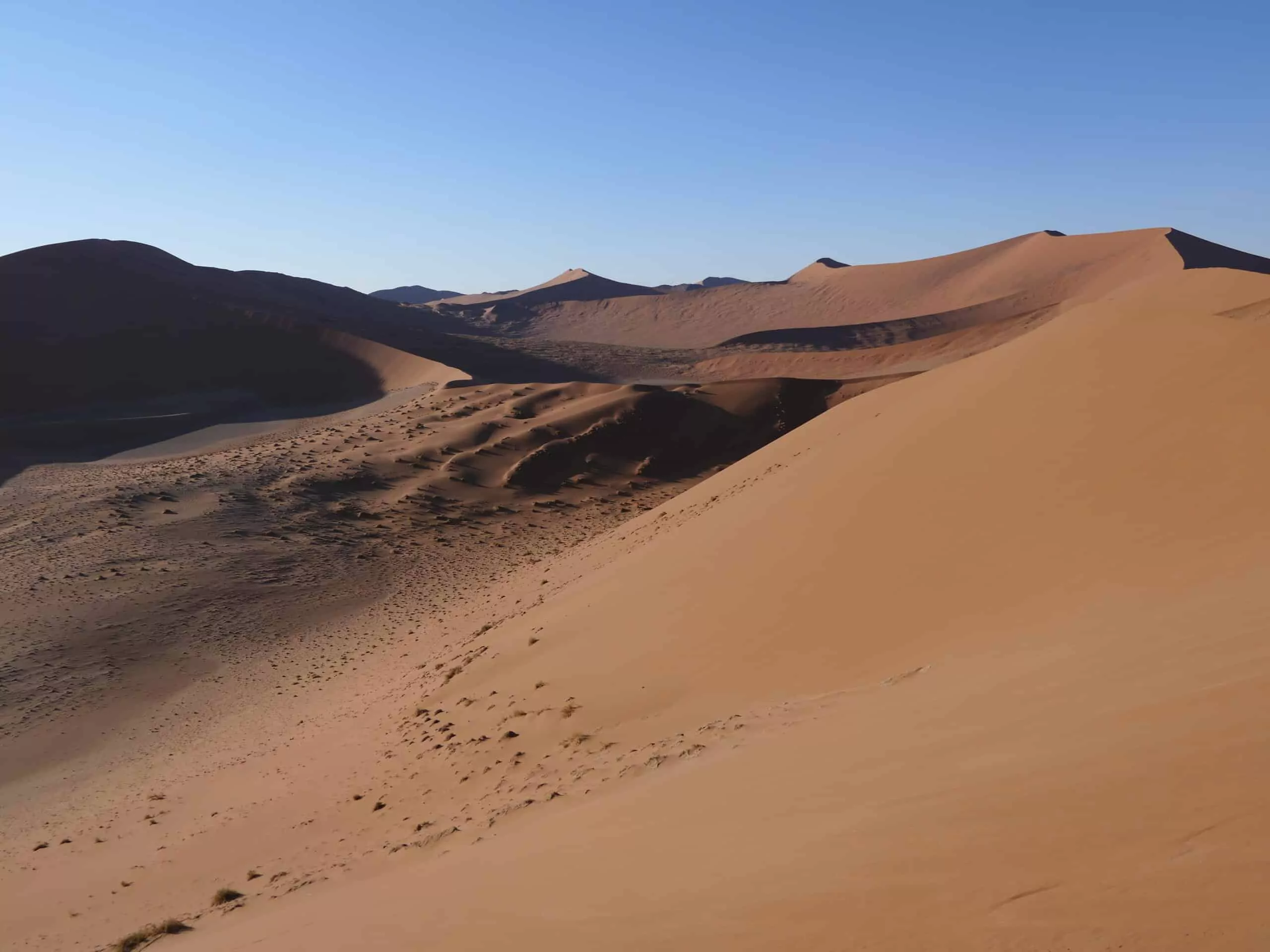 Namibia Safari Namib Wüste Dune 45