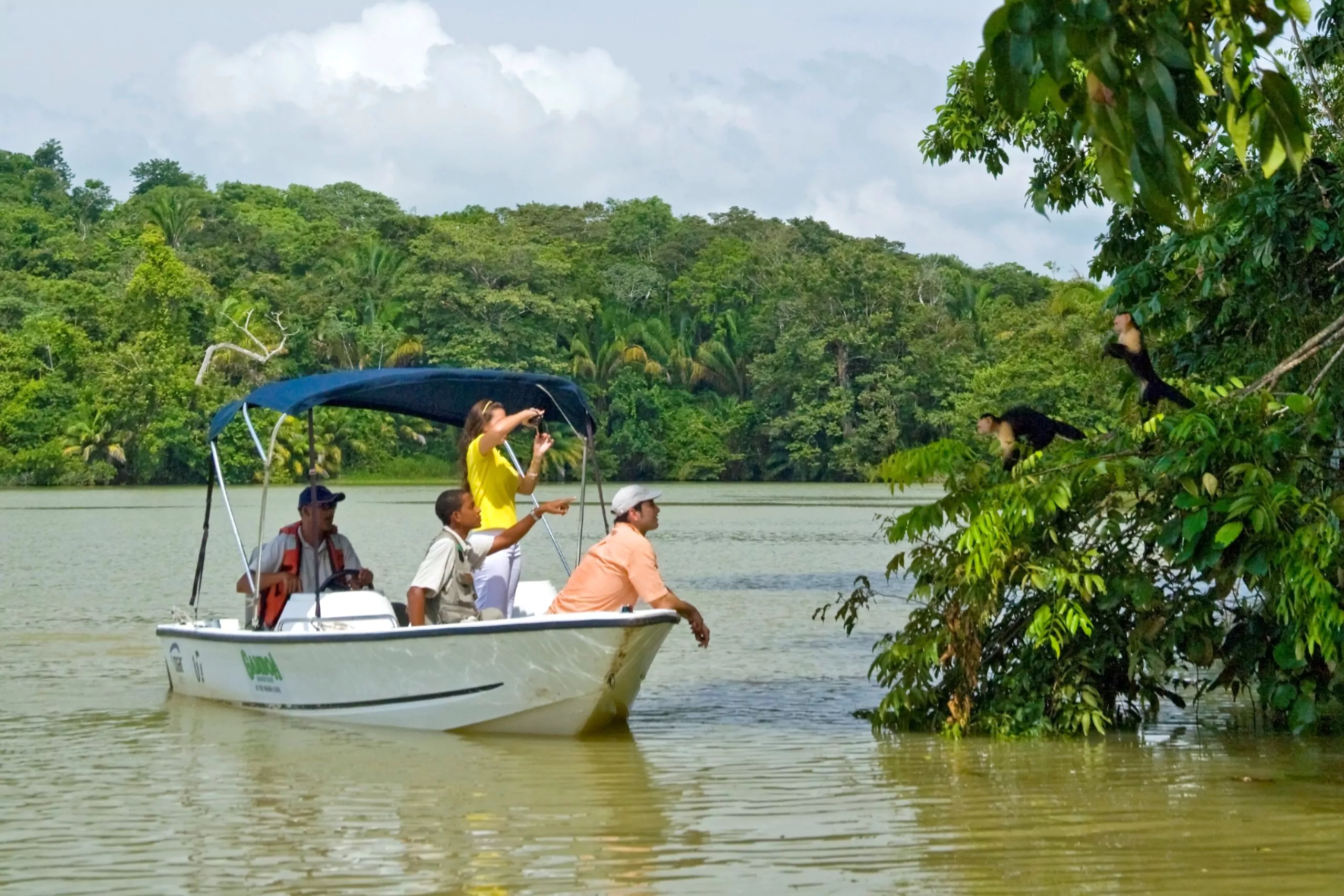 Panama Rundreise Abenteuer im Regenwald