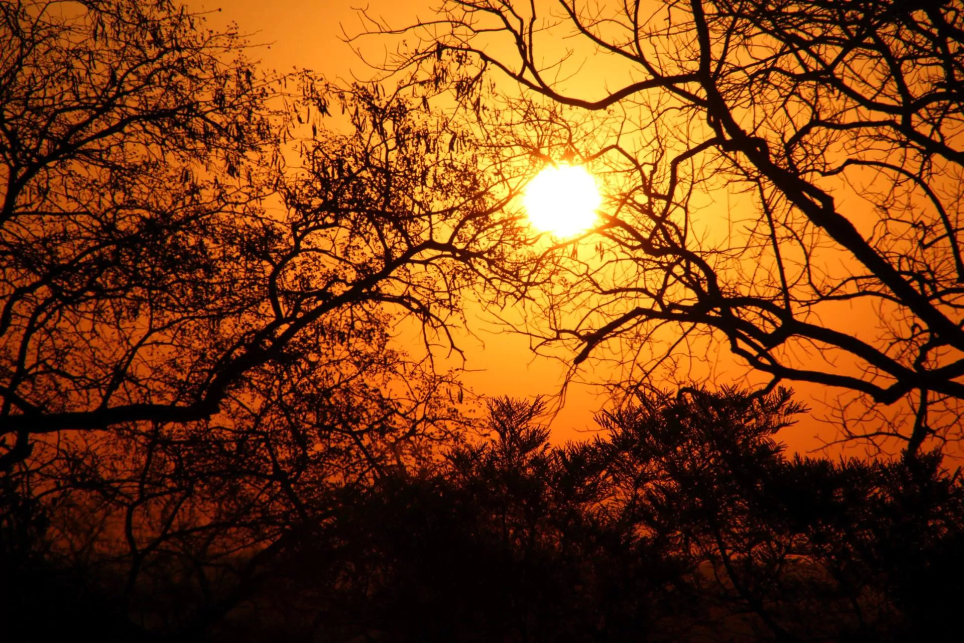 Südafrika Safari Romantischer Sonnenuntergang