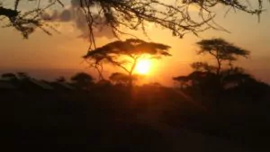 Tansania Safari Sonnenuntergang in der Serengeti