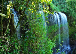 Uganda Rundreisen Mount Elgon Nationalpark Wasserfall