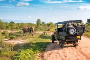 Kenia Safari Masai Mara Elefant vor offenem Safarijeep
