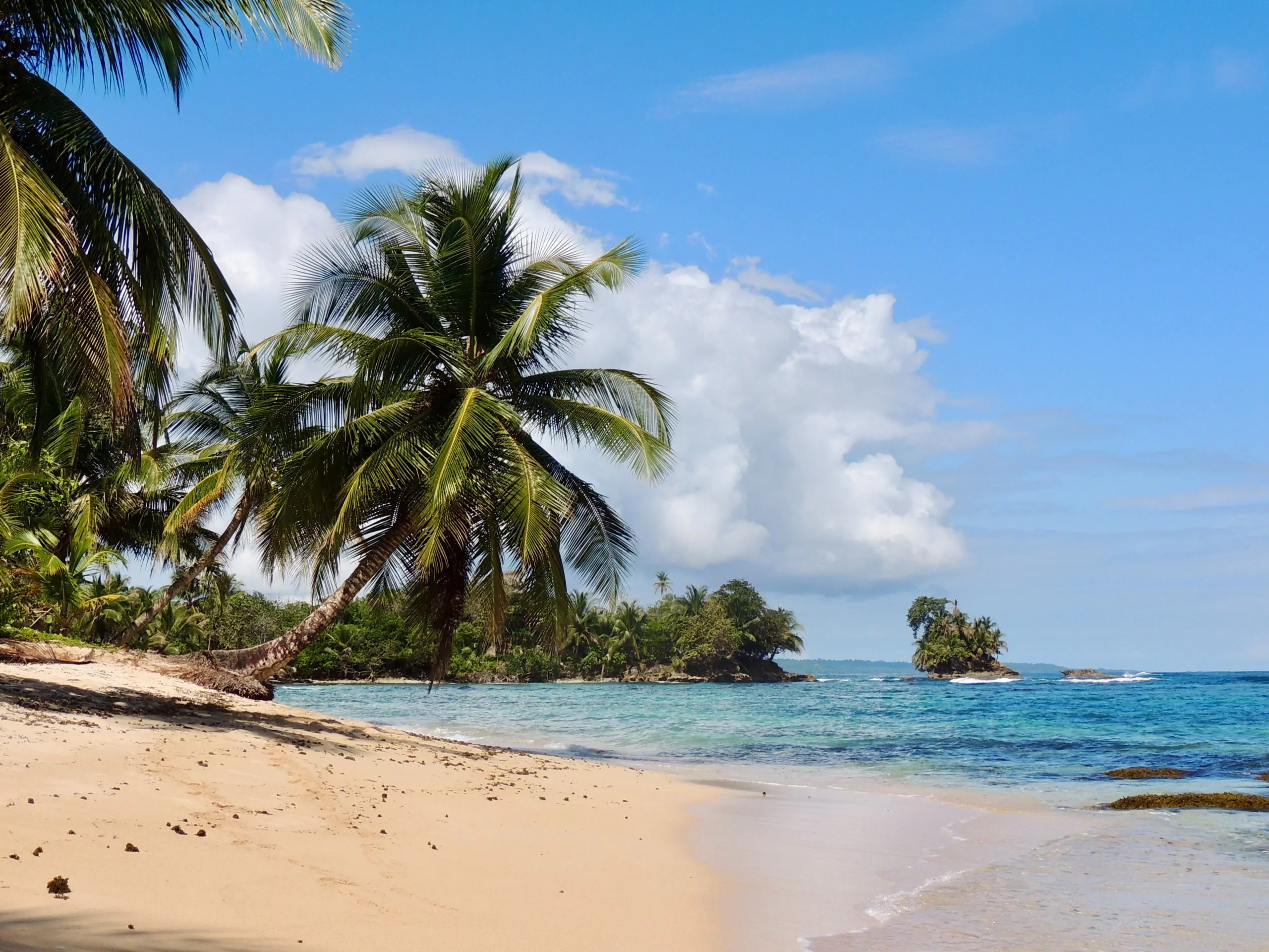 Costa Rica Reise Karibikstrand mit Palmen