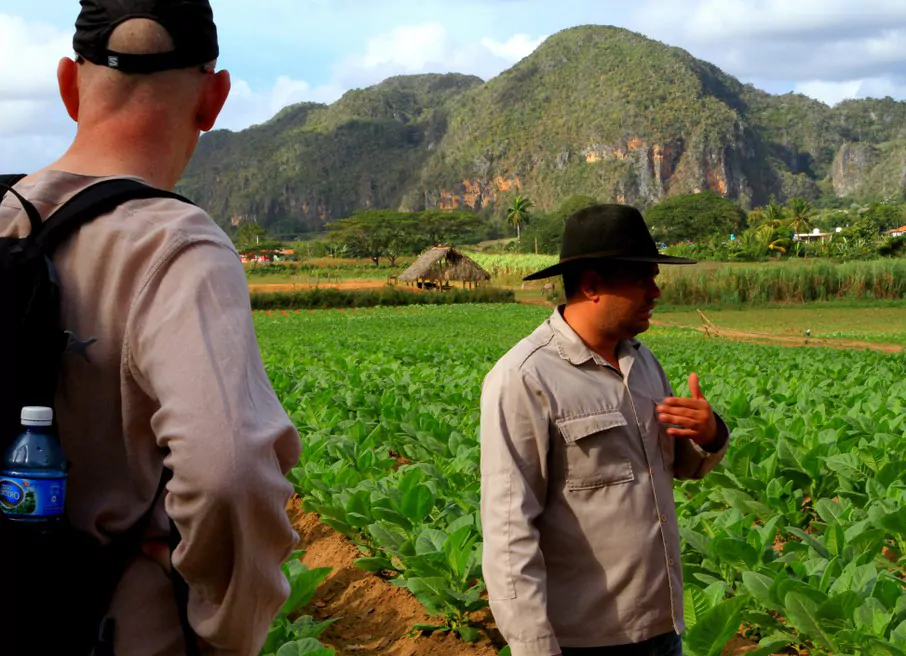 Kuba Rundreise Vinales Tabakfelder