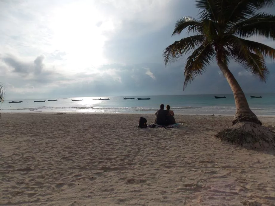 Mexiko Reise Palme am Strand