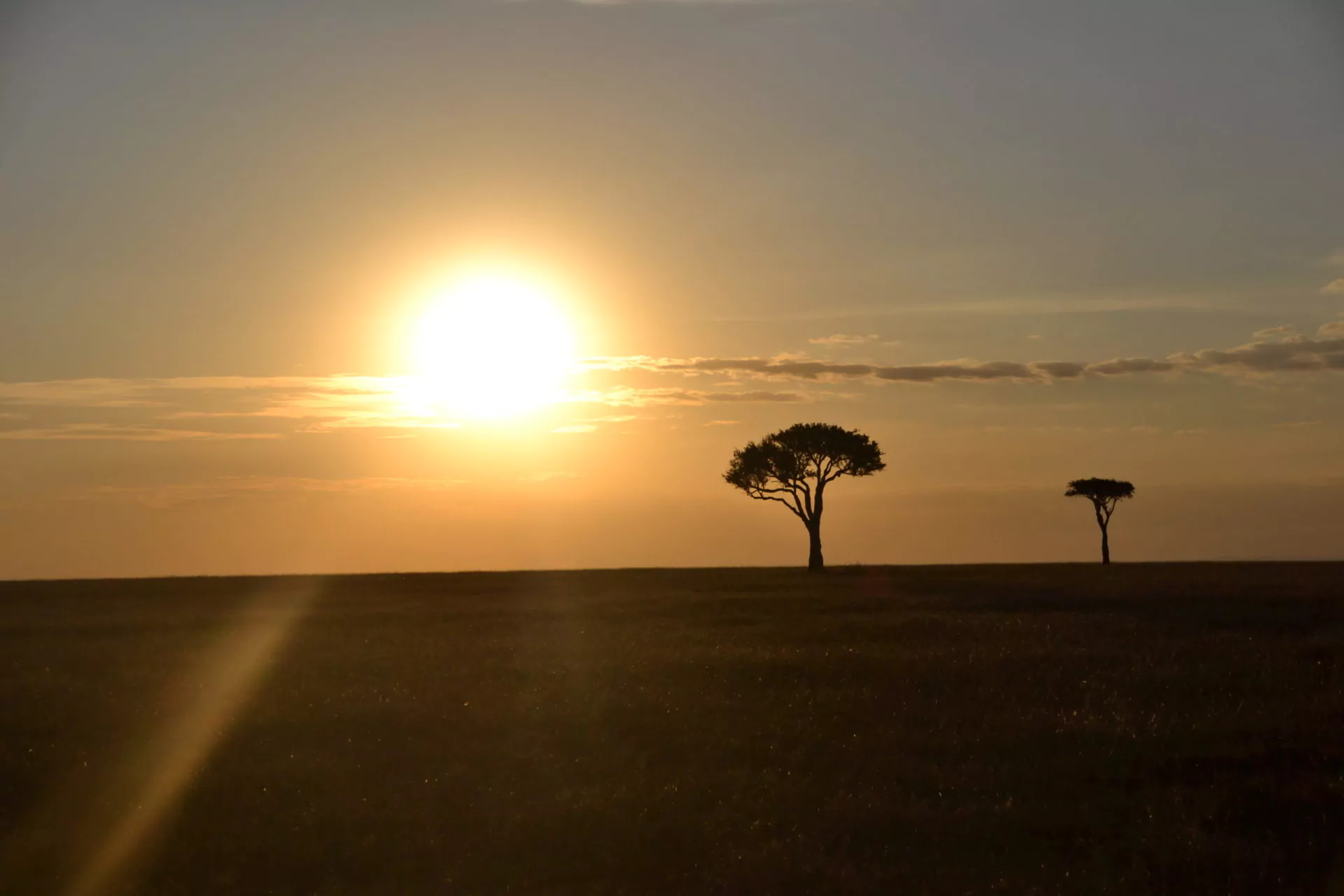 Kenia Safari Masai Mara Sonnenuntergang mit Baum