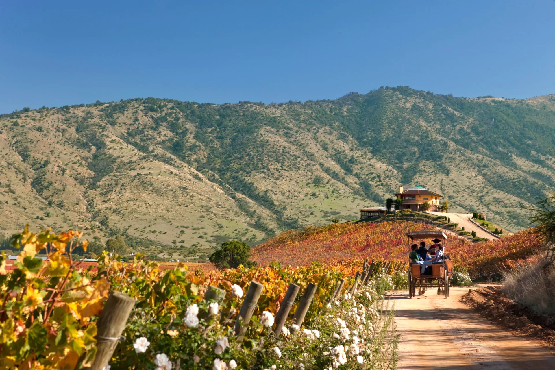 Chile Reisen Weingut im Valle de Colchagua