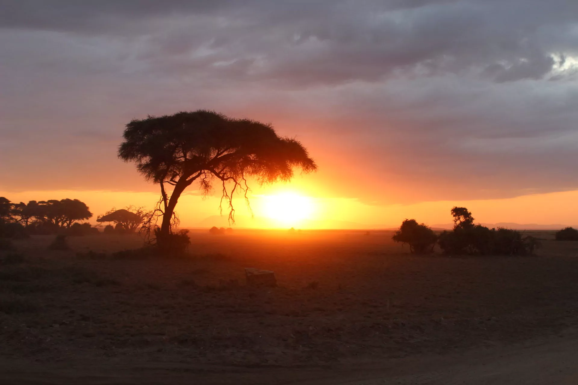Safari und Baden Kenia Amboseli Nationalpark Sonnenuntergang