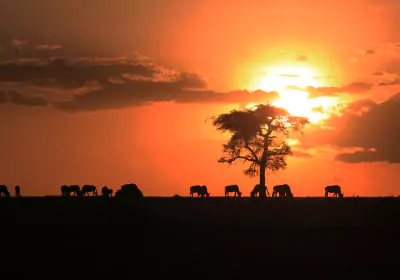 Kenia Safari Kicheche Valley Sonnenuntergang