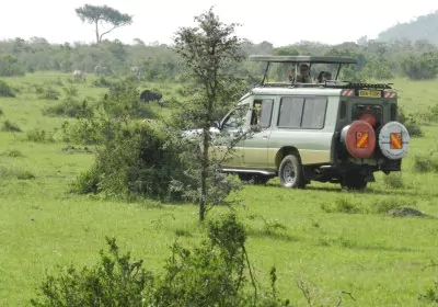 Kenia Safari Massai Mara Safarijeep