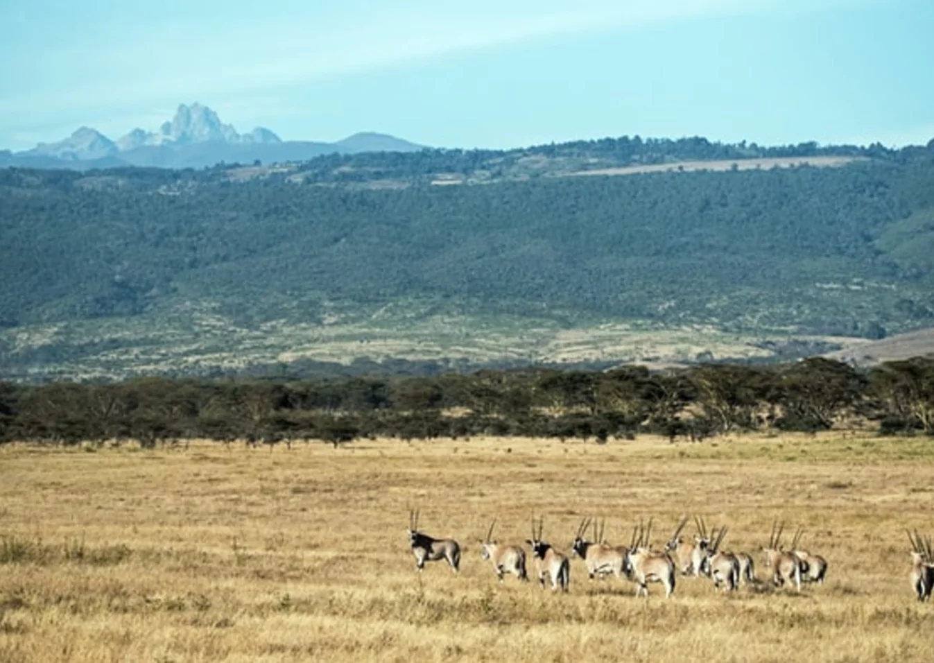 Mount Kenya Besteigung Sirimon-Chogoria Route