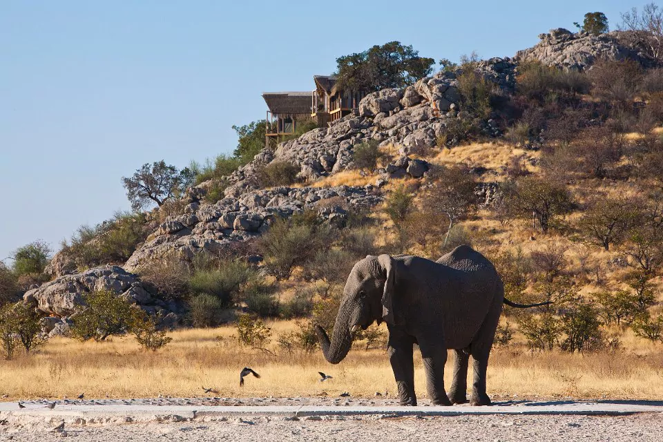 Namibia Safari Etosha Dolomite Camp Elefant