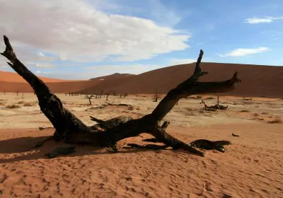 Namibia Safari Sesriem Deadvlei Toter Baum