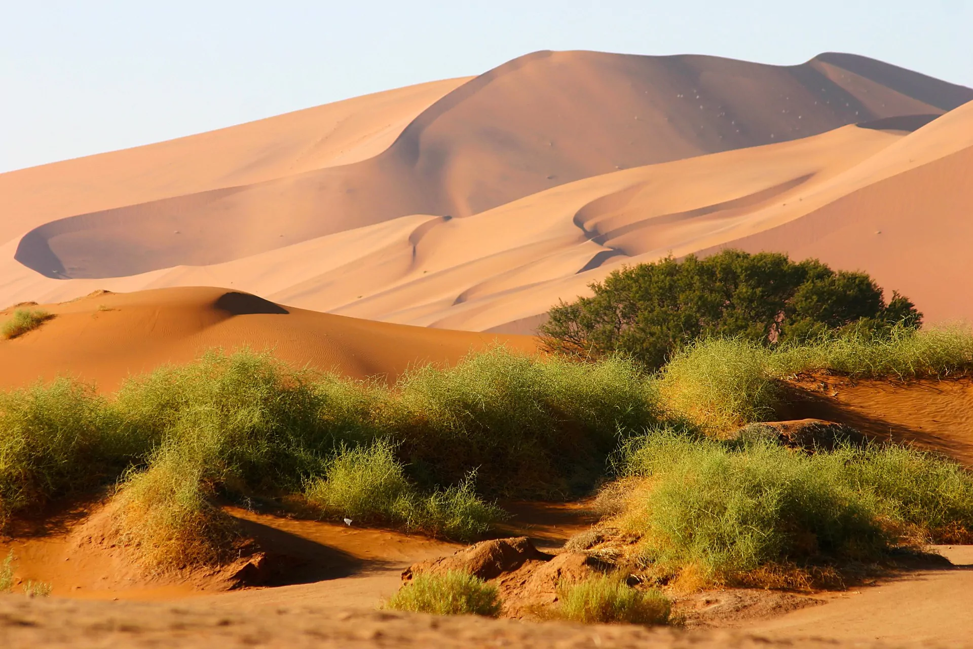 Namibia Safari Sesriem Sossusvlei Dünen